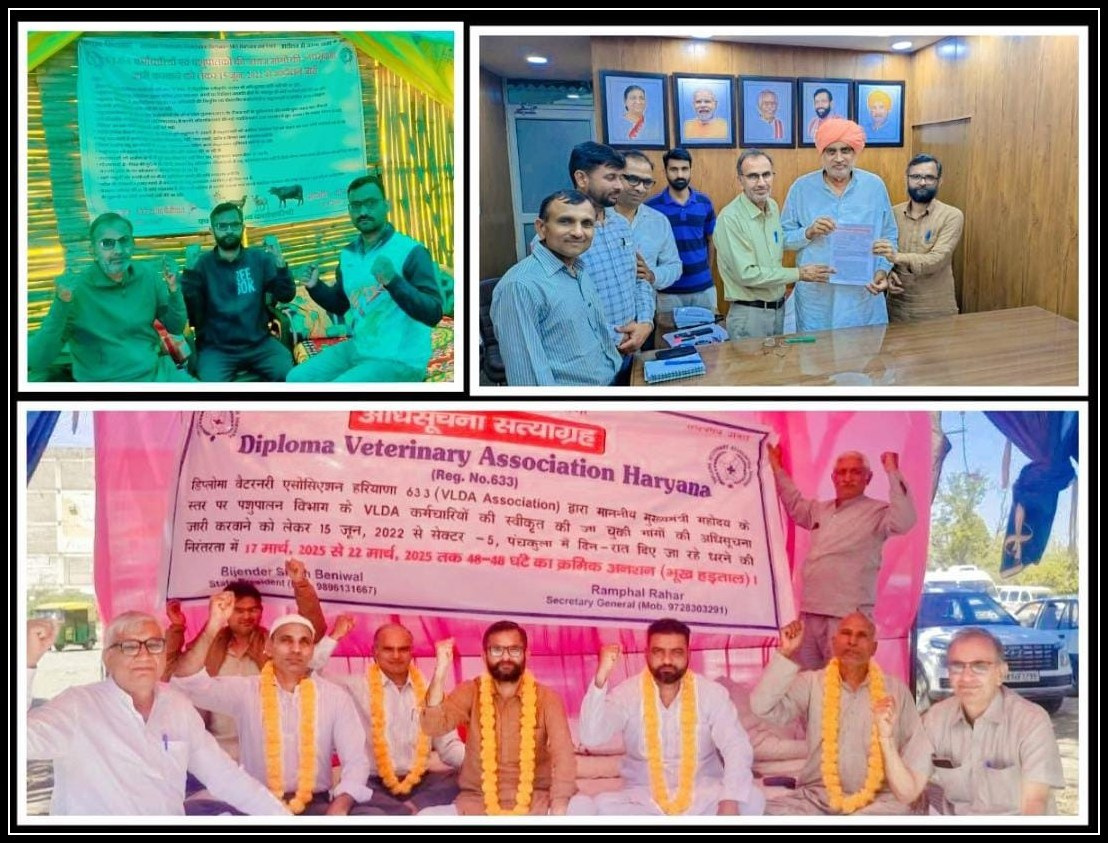 पशुपालकों और ग्रामीण अर्थव्यवस्था पर असर, हरियाणा के इतिहास में सबसे लंबे कर्मचारी आंदोलनों में से एक