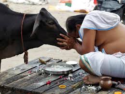 गोबर पीने तक का ज्ञान दे रहे हैं नेता लोग?