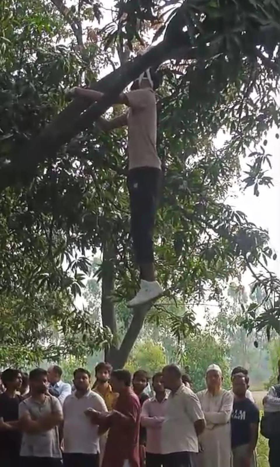 थाना किरतपुर हुसैनपुर बस स्टैंड पर बाग में मिली युवक का पेड़ पर लटके शव मिलने से सनसनी फैल गई