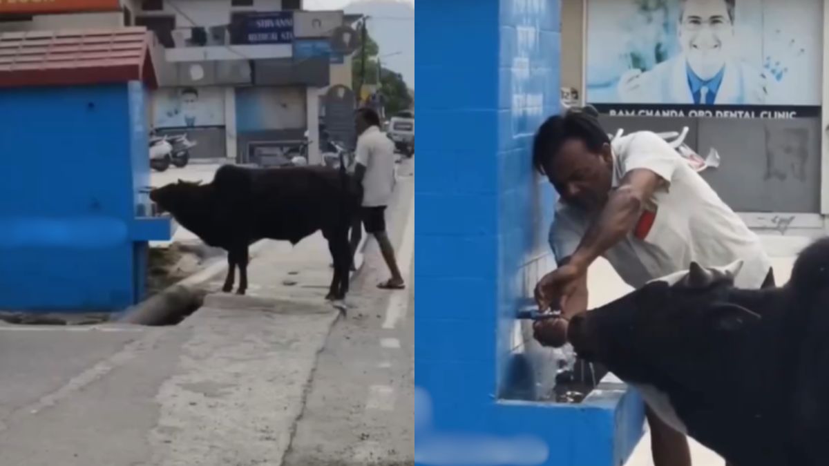 इंसानियत अभी भी ज़िंदा हैं