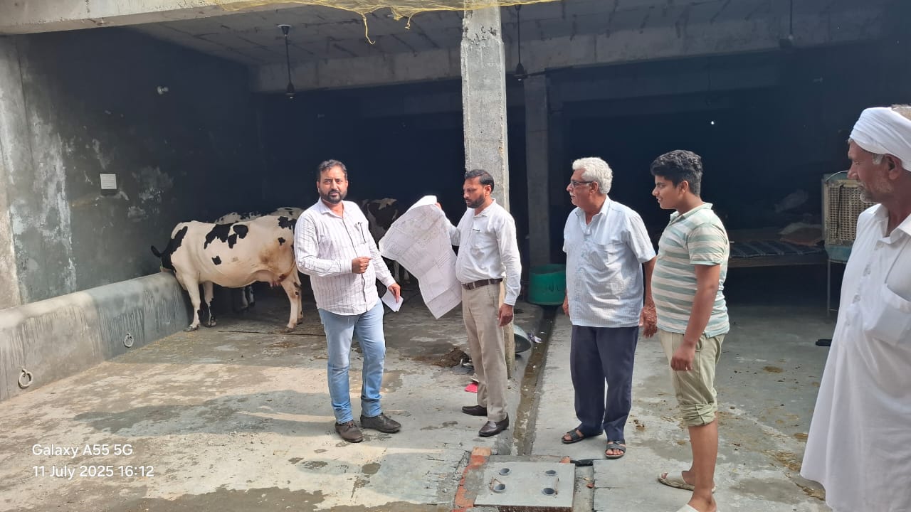 डेयरी शिफ्ट न करने वाली 15 डेयरियां जल्द होंगी सील, पशु भी होंगे जब्त : डॉ. वैशाली शर्मा