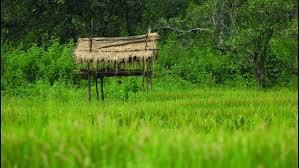 छोटे से गांव में 34 साल की उम्र में सेव कर लिए चार करोड़ रुपए