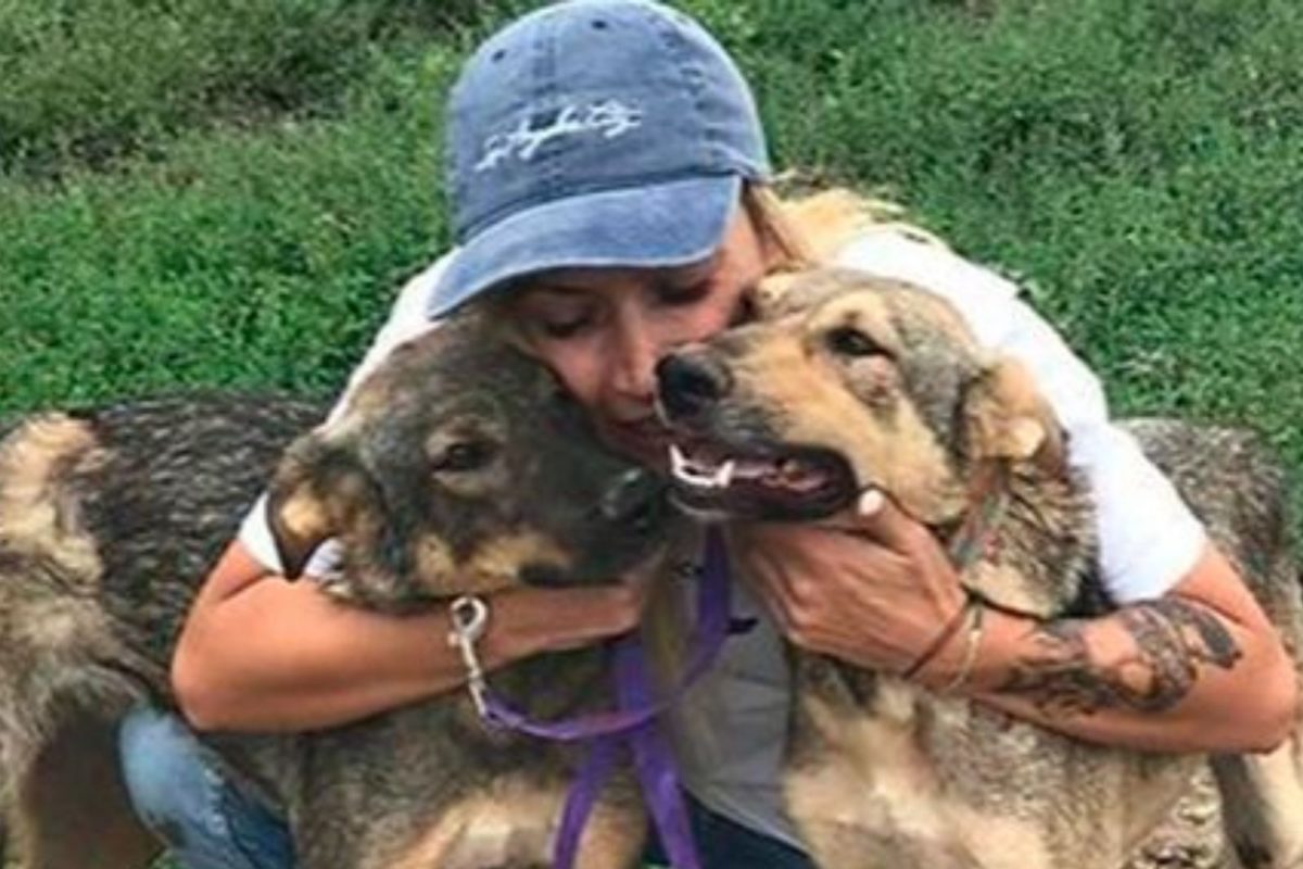 “प्यारे डॉगी, बेरहम बेटे: संवेदना का उलटा युग”