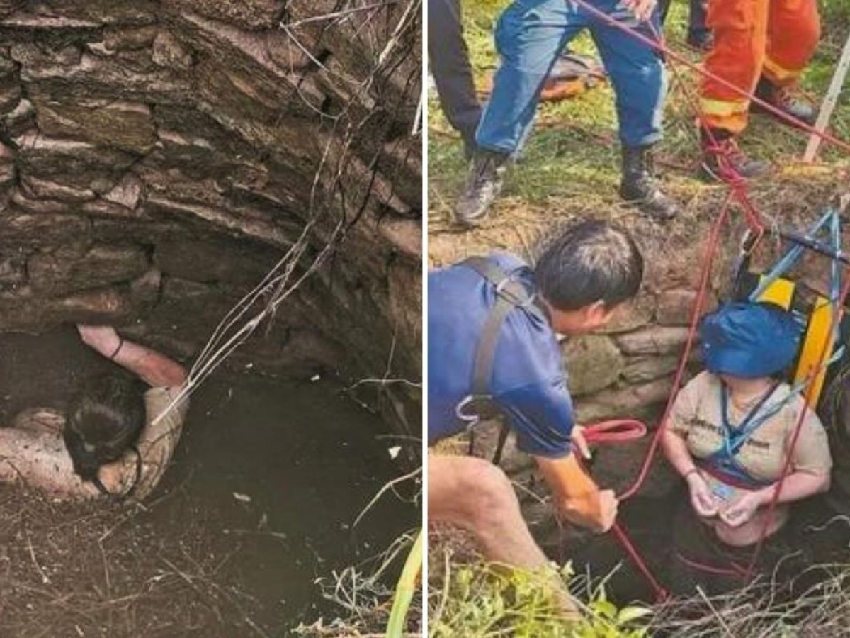 चीन में महिला का साहस : 54 घंटे कुएं में फंसी, सांपों और मच्छरों से लड़ीं