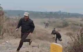 भूखा हाथी गांव में घुसा, युवक को पटक-पटककर मार डाला, कई गांवों के स्कूल बंद