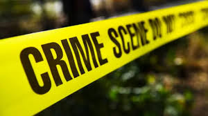 अमेरिका में भारतीय मूल के अधेड़ ने पत्नी समेत गोली मारकर हत्या की! 