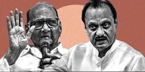 जिला परिषद चुनाव से पहले शरद पवार को झटका, अजित पवार से गठबंधन के चलते इस नेता ने दिया इस्तीफा