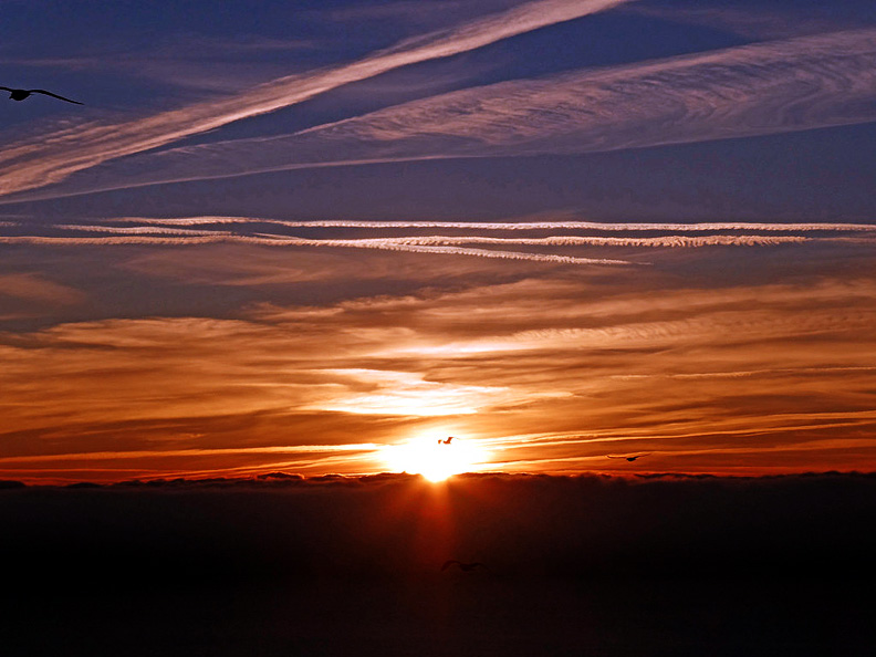 नूतन वर्ष: नए सपने, नई उम्मीदें