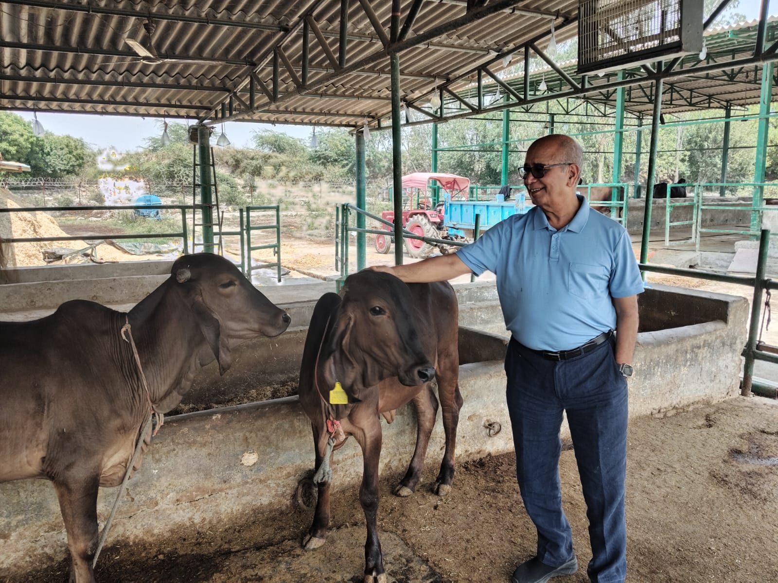 यूपी का देसी गाय मॉडल बना राष्ट्रशक्ति की नई ताकत, सेना तक पहुंचा हाई प्रोटीन दूध!