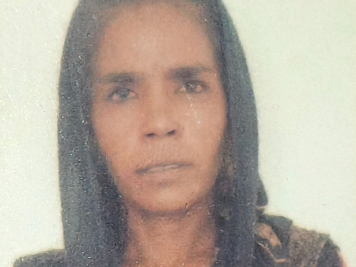 शामली में बंदरों के हमले से महिला की मौत, ग्रामीणों का फूटा गुस्सा, प्रशासन पर लगाए गंभीर आरोप