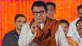 उद्धव गुट के 6 सांसदों की बगावत पर राज ठाकरे का आया बयान, कहा- ‘अमित शाह 2029 की तैयारी…’